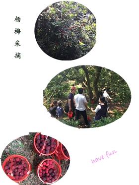 飛瑞電源員工團建之西山一日游-楊梅采摘