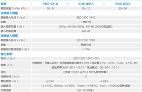 YDC9300系列技術(shù)參數(shù)