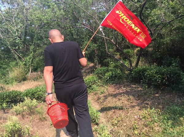 飛瑞電源員工團建之西山一日游-領(lǐng)隊