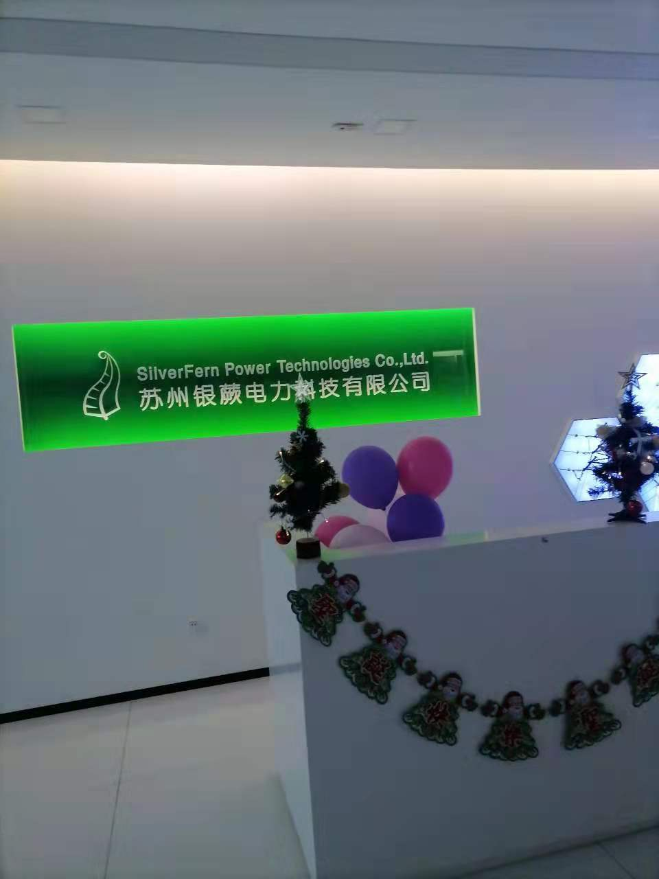 銀蕨ups電源案例-1